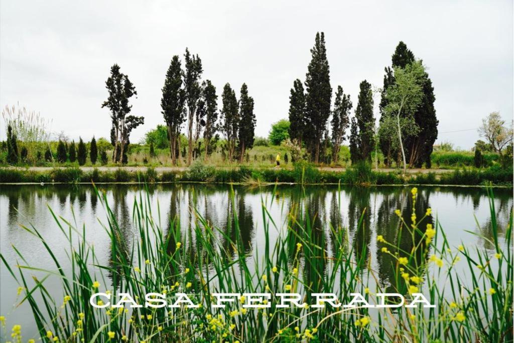 הוילה בוריאנה Casa Ferrada מראה חיצוני תמונה
